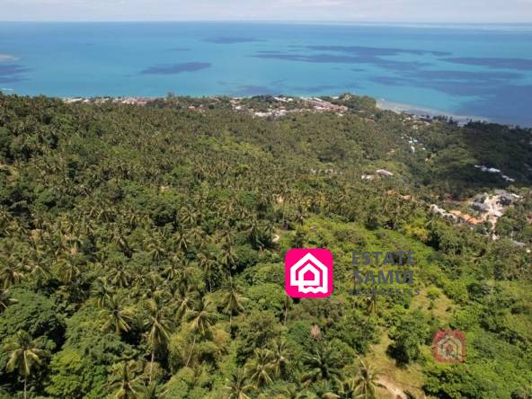 lamai sea view land for sale