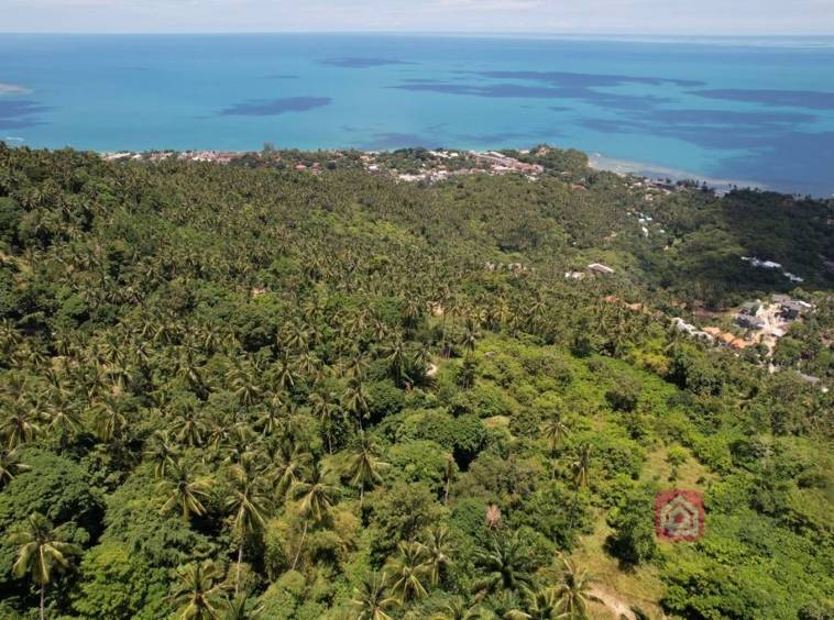 lamai land for sale, koh samui