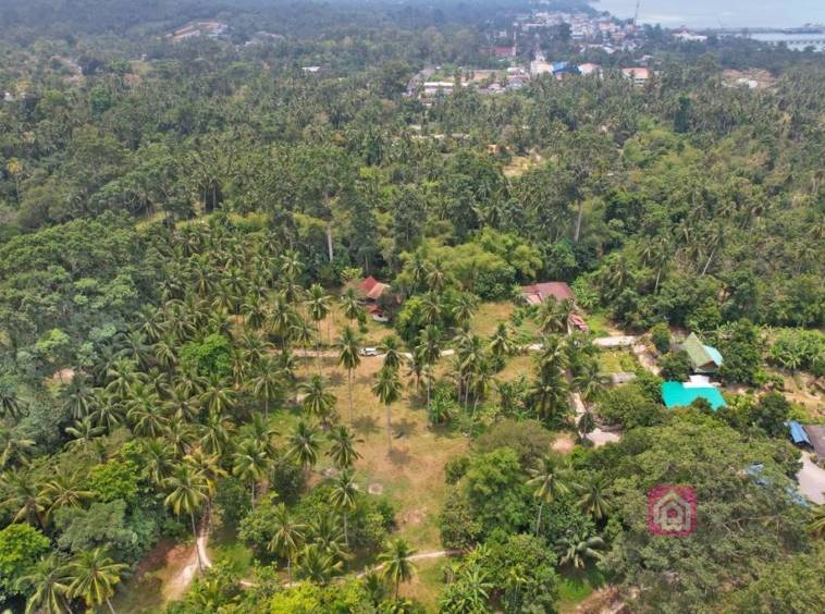 flat land for sale, koh samui