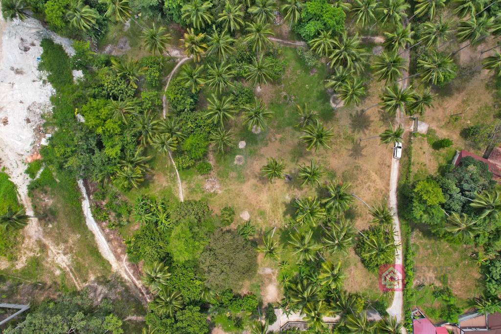 flat land for sale, koh samui