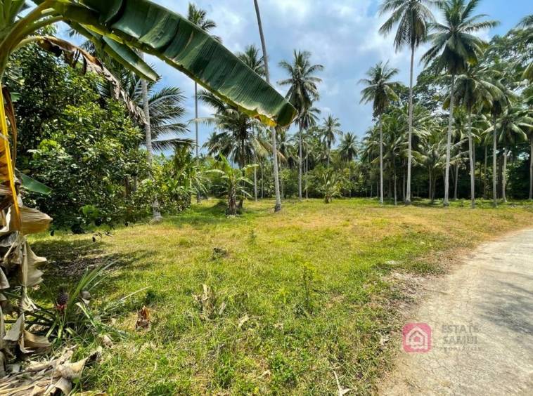 flat land for sale, koh samui