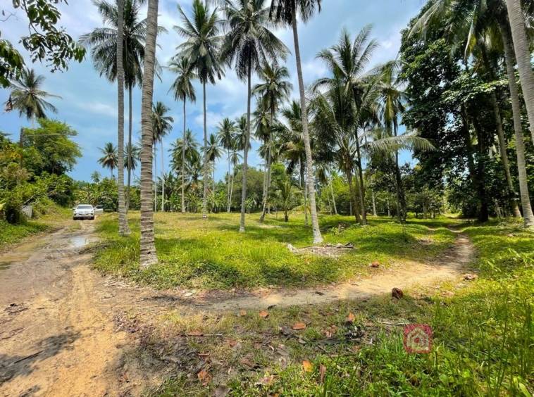 flat land for sale, koh samui