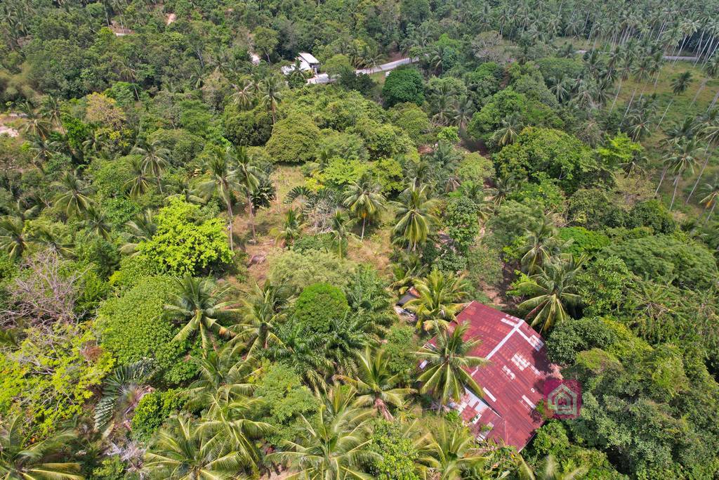 maenam land for sale, koh samui