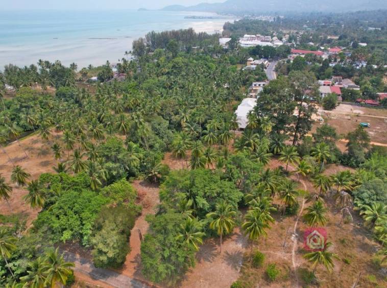 beach side land for sale, koh samui