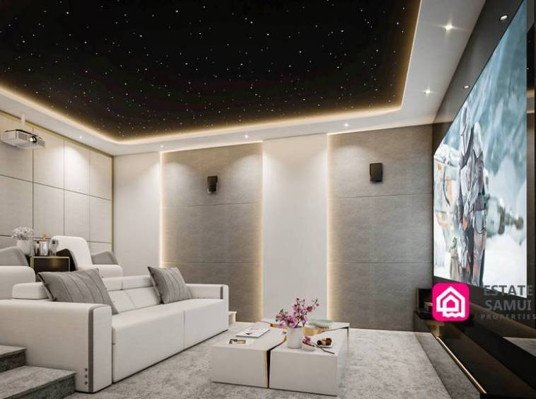 home cinema