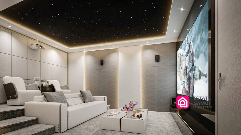 home cinema