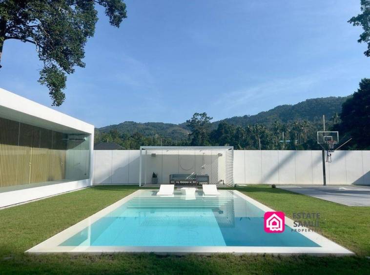 minimalistic pool villa for sale