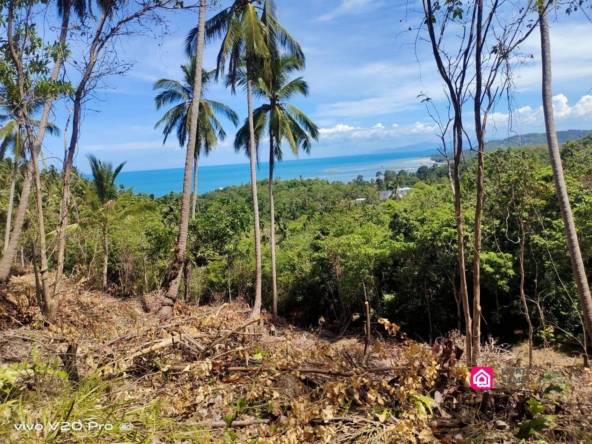 lamai ocean view land for sale, koh samui