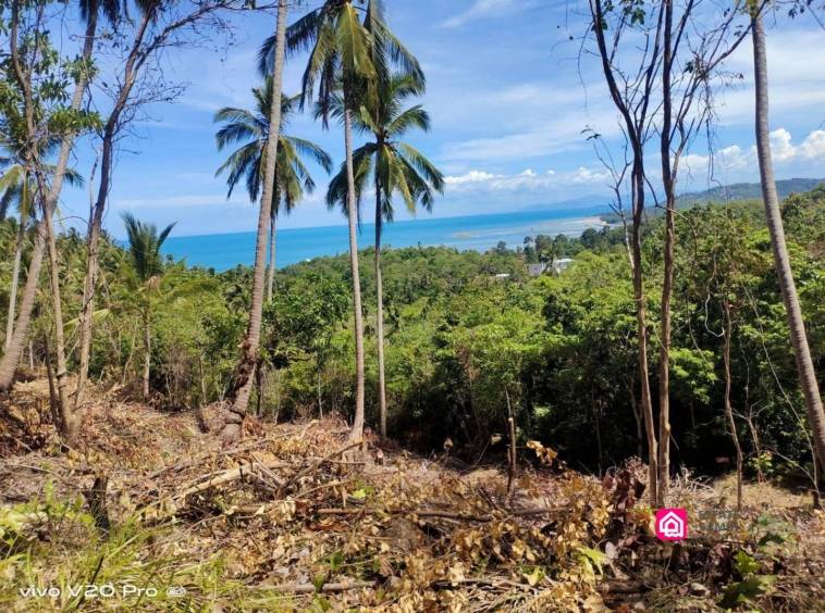 lamai ocean view land for sale, koh samui