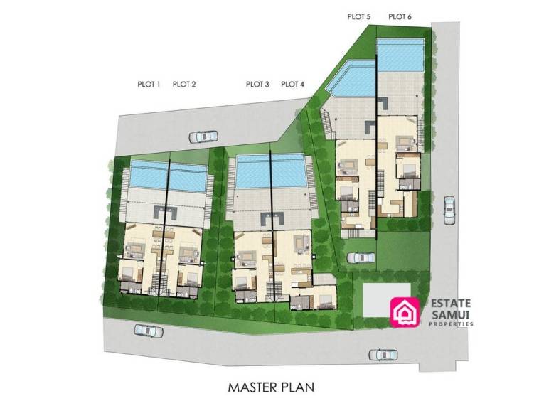 development masterplan