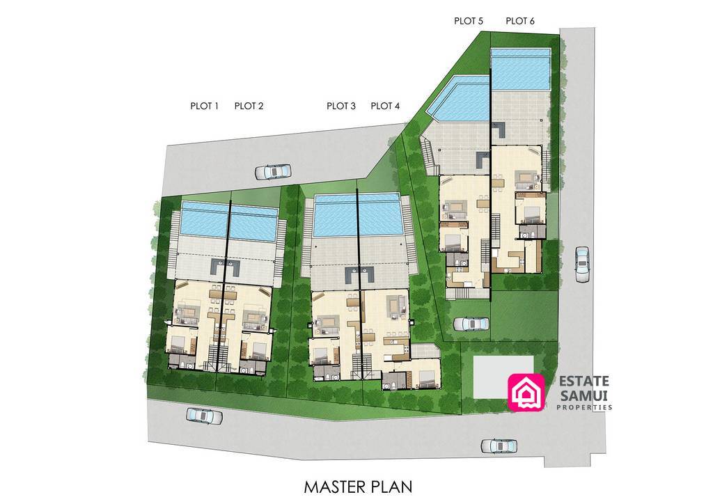 development masterplan