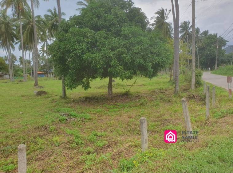 beachside plot for sale