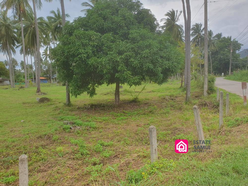 beachside plot for sale