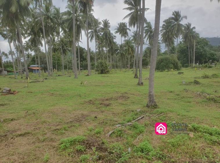 beachside plot for sale