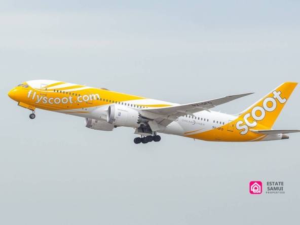 scoot air connects samui singapore