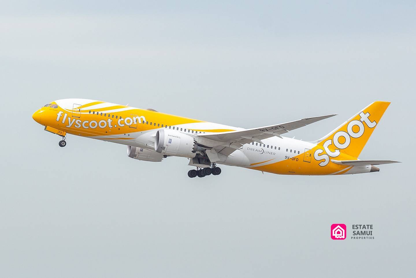 scoot air connects samui singapore