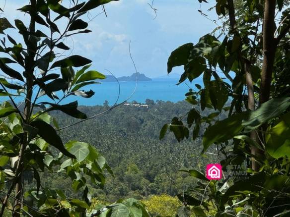 18 Rai Sea View Land in Maenam,